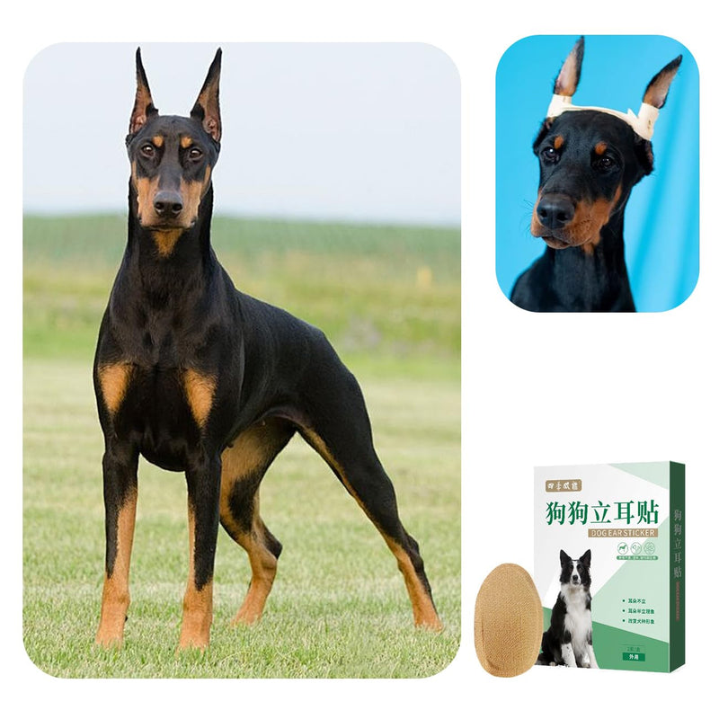 2 Pcs Dog Ear Posting Kit for Doberman Pinschers - Dog Ear Tape Ear Stand Up Support Tool with Tape for Ear Correction and Vertical Hold brown