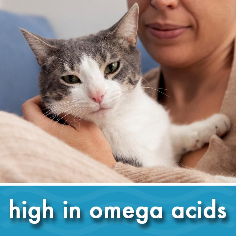 Organic Hemp Seed Oil for Dogs & Cats UK 300ml - More Omega 3,6,9 than Salmon, Cod Liver & Fish Oil | Joint Supplement Ideal for Senior Pets | 100% Pure & Cold Pressed | Pike's Pouches Organic Hemp 300 ml (Pack of 1)