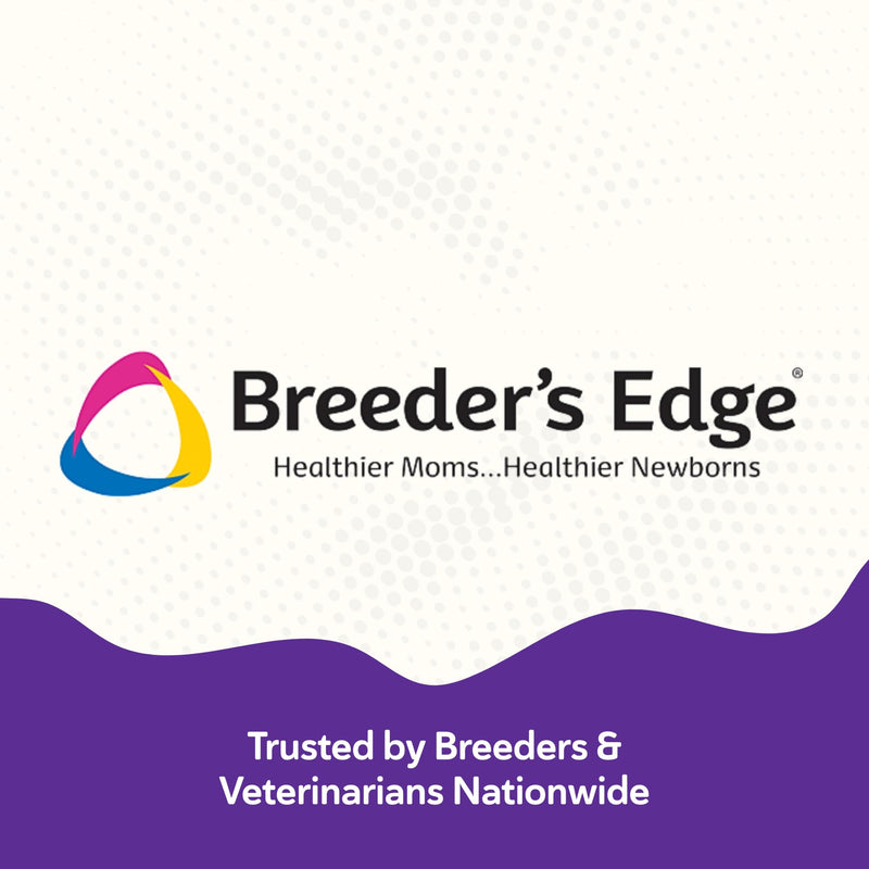 Breeder's Edge B Strong Liquid, Vitamin B for Dogs and Cats, Supports Canine and Feline Reproductive Health, Promotes Healthy Heat Cycles, Provides Energy, and Stimulates Appetite, 8 oz 8 oz - Liquid