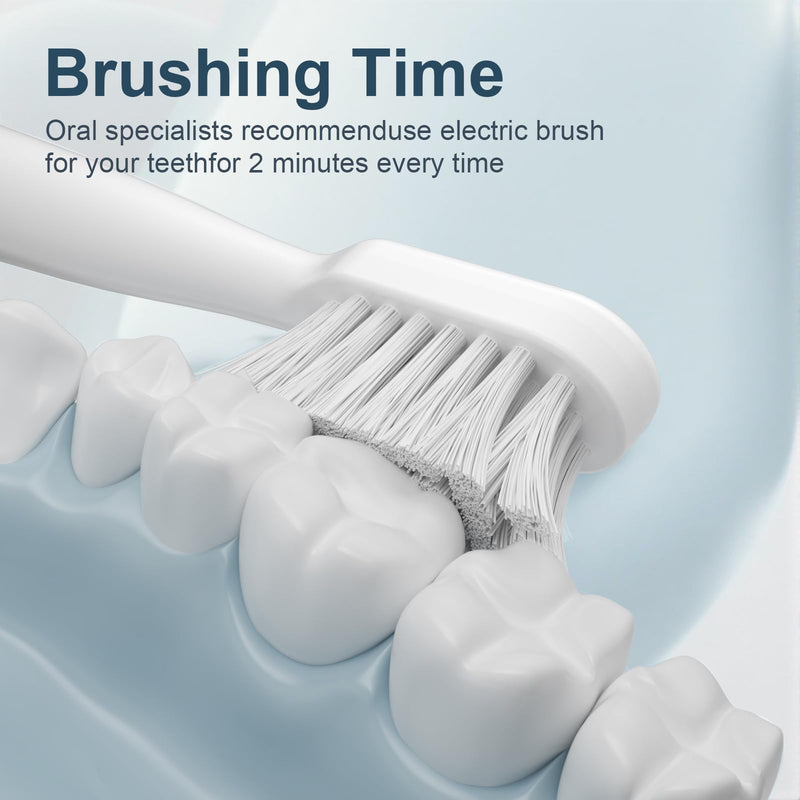 AJELU Electric Toothbrush Set with Drying & Sanitizing Holder, 8 Replacement Brush Heads, Transparent Rinse Cup, Smart Timer, USB Rechargeable for Adults White - BeesActive Australia