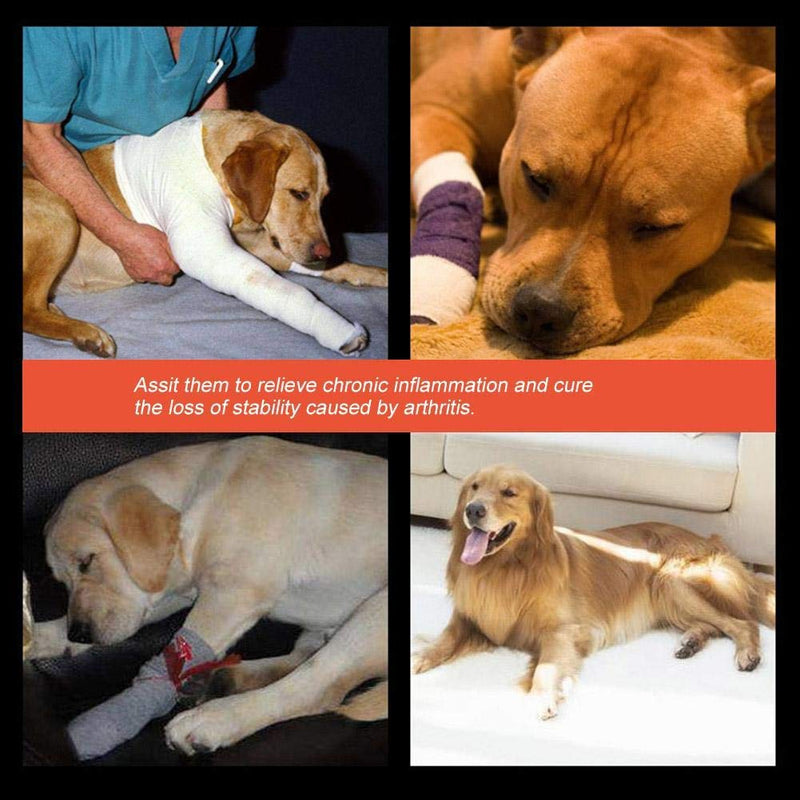 Fdit 1 Pair Dog Hind Leg Brace Pet Surgical Injury Bandage Wrap Heal Wound Protector(#1) Black