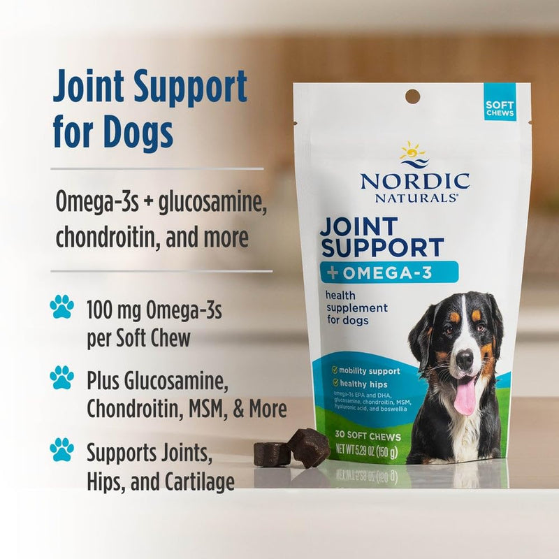 Nordic Naturals Pet Joint Support + Omega 3 Soft Chews for Dogs, Pork Bone Broth Flavored - Promotes Mobility, Hip and Joint Support with Omega-3 Fish Oil, MSM, EPA & DHA - 30 Non-GMO Chews