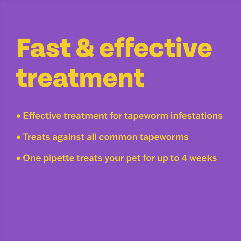 Bob Martin Clear Spot On Wormer for Cats & Kittens - 100% Effective Tapeworm Treatment (4 Pipettes) 4 Pipettes