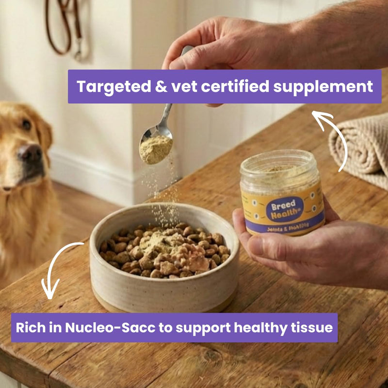 YEARS Breed Health+ Vet Certified Prebiotic Joint Support for Dogs Nutritional Supplement Powder for Mobility | 40g | Fussy Dog Approved for Sensitive Stomachs