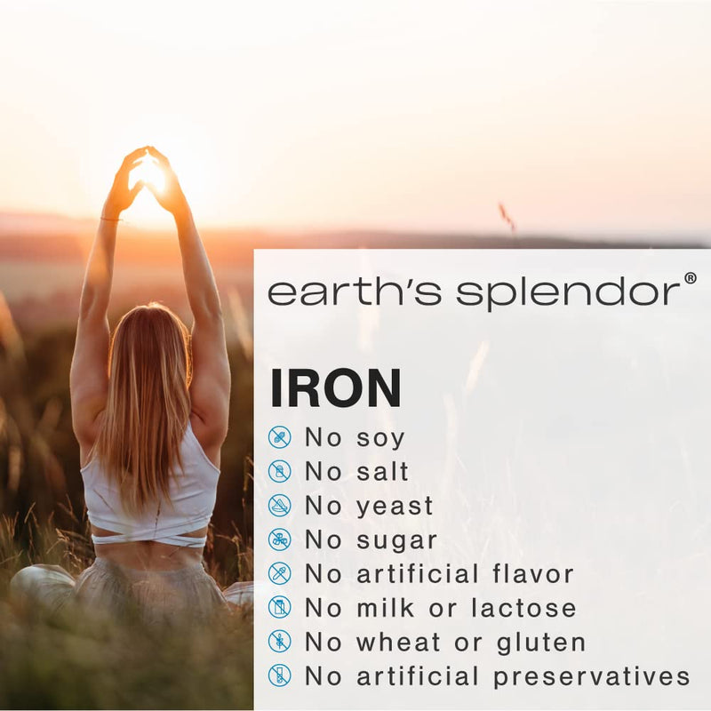 Earth's Splendor Iron 65mg USP Ferrous Sulfate 325mg Tablets 90 Count | Supports Energy Production Oxygen Transportation Healthy Blood Daily Supplement Three Month Supply 90 Tablets Iron 65 mg