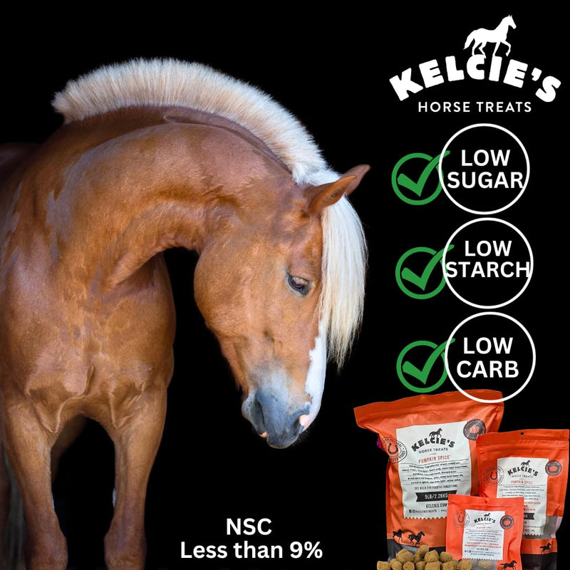 Horse Treats for Training and Bonding - Made with All-Natural Flavors, Horse Treats Low Sugar Delights of Pure Flavor and Health, Suitable for Horses with Cushing's, 8oz Bag 8 Ounce (Pack of 1) - BeesActive Australia