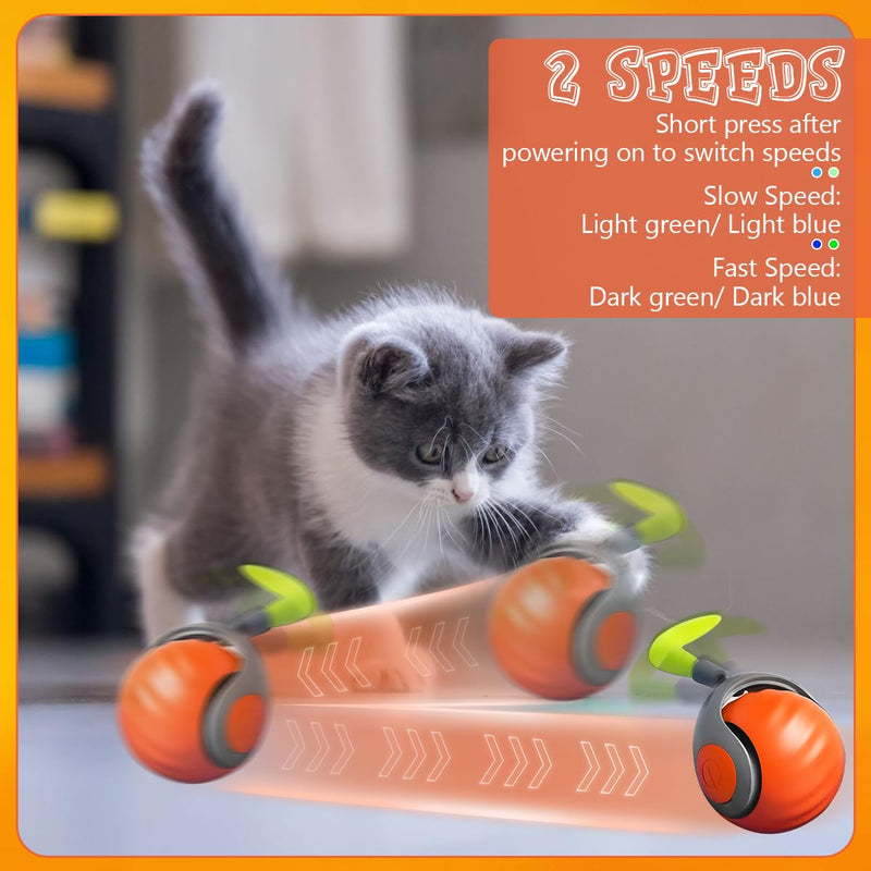 Speedy Tail 2.0, Speedy Tail Cat Toy, Interactive Cat Toy Ball, Motion Activated Cat Toy Balls, Cat Toys Balls with Feather Tail, Automatic Cat Toy, Cat Stimulation Toys for Indoor Cats Orange - BeesActive Australia