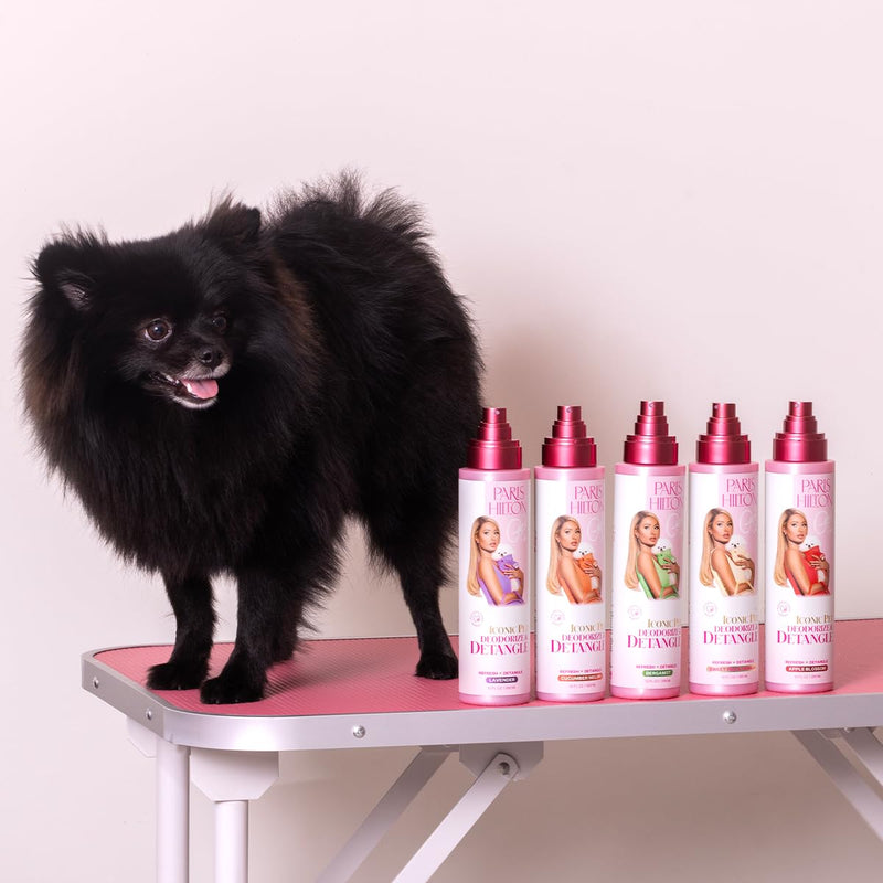 Paris Hilton Dog Deodorizer & Detangler | Odor Neutralizing with Light Sweet Pea & Vanilla Scent for Fresh Grooming & Detangling - Sulfate-Free, Vegan, Hypoallergenic for All Pet Breeds 10oz/295ml - BeesActive Australia
