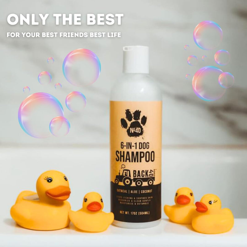 Natural Pet Shampoo - No. 40 Premium 6 in 1 Oatmeal Shampoo For Dogs -Moisturize, Deodorize & Soothe Sensitive Skin for Itchy, Smelly Dogs - Coconut, Aloe & Almond Oil Dog Wash & Pet Care - BeesActive Australia
