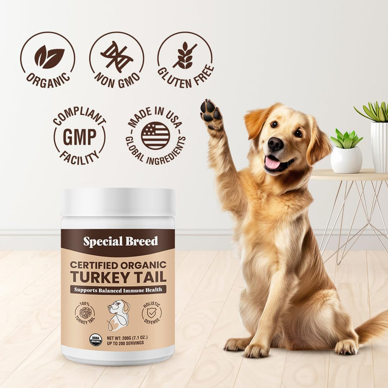 Special Breed Turkey Tail Mushroom for Dogs and Cats - Certified Organic Turkey Tail Powder, Canine Immune Support, 200 Grams - PawsPlanet Australia