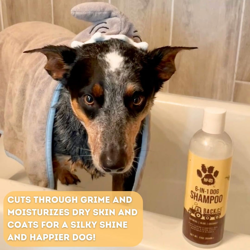 Natural Pet Shampoo - No. 40 Premium 6 in 1 Oatmeal Shampoo For Dogs -Moisturize, Deodorize & Soothe Sensitive Skin for Itchy, Smelly Dogs - Coconut, Aloe & Almond Oil Dog Wash & Pet Care - BeesActive Australia
