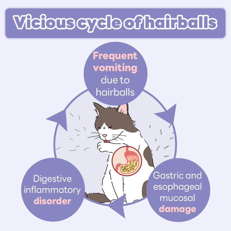 Dr.by HB Care Hairball Supplement for Cats– Korean Made Hairball Relief Furball Control Remedy & Digestive Support Supplements with Omega-3, Chitosan-30 Individuallly Packaged (1 Pack, 30 Count) - BeesActive Australia