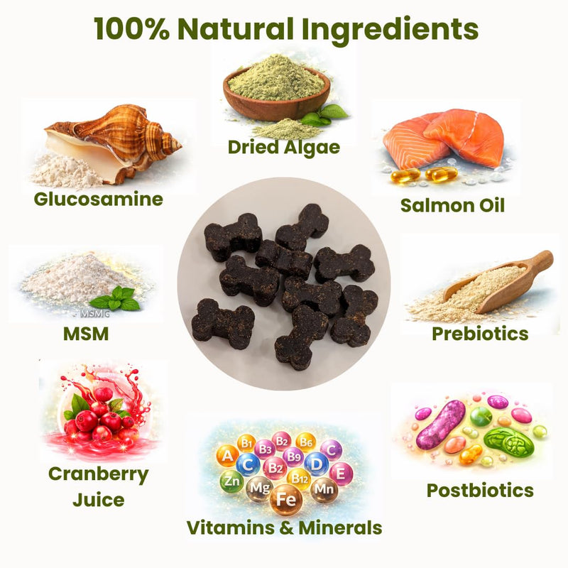 Premium Dog Multivitamin Soft Chews – Complete All-in-One Supplement for Joint, Skin, Coat, Digestion, Heart, Brain & Immune Health - Natural Ingredients - Full Wellbeing Support