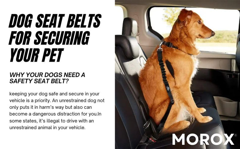 Norox Set of 3 Retractable Seat Belts: Adjustable Dog Seat Belt for Car | Sturdy, Durable, 360 Degree Rotating Elastic Straps for Pet Safety | Universal Fit Small to Large Dog Seat Belt Harness, Black - BeesActive Australia