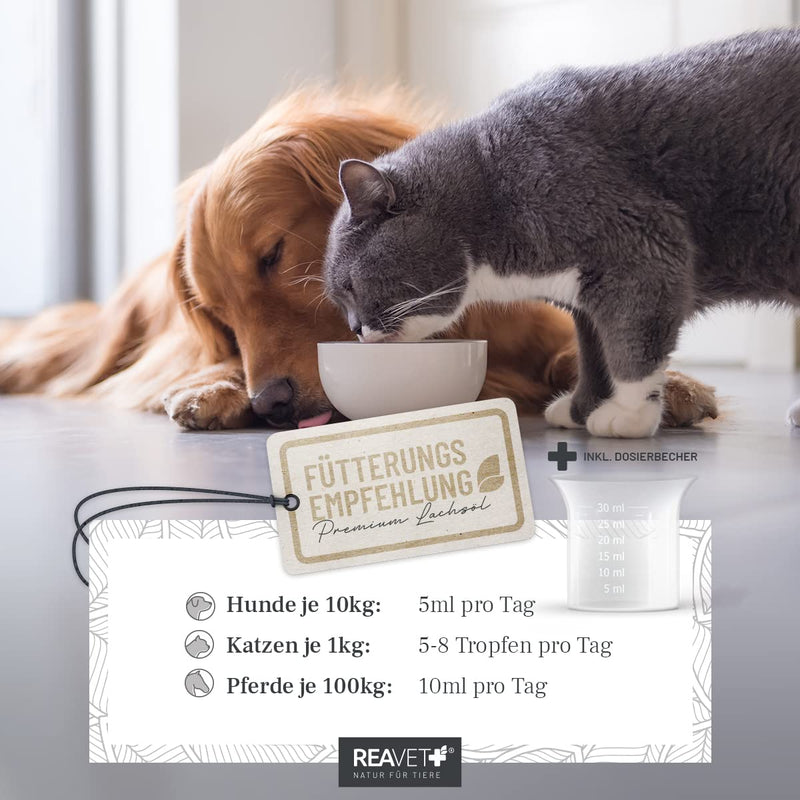 ReaVET TEST VERDICT VERY GOOD 02/24 Salmon oil for dogs, cats 500ml - Rich in Omega 3 & 6, fish oil for dogs in high doses I Real food quality without additives I Freshly bottled in Germany 500 ml - BeesActive Australia