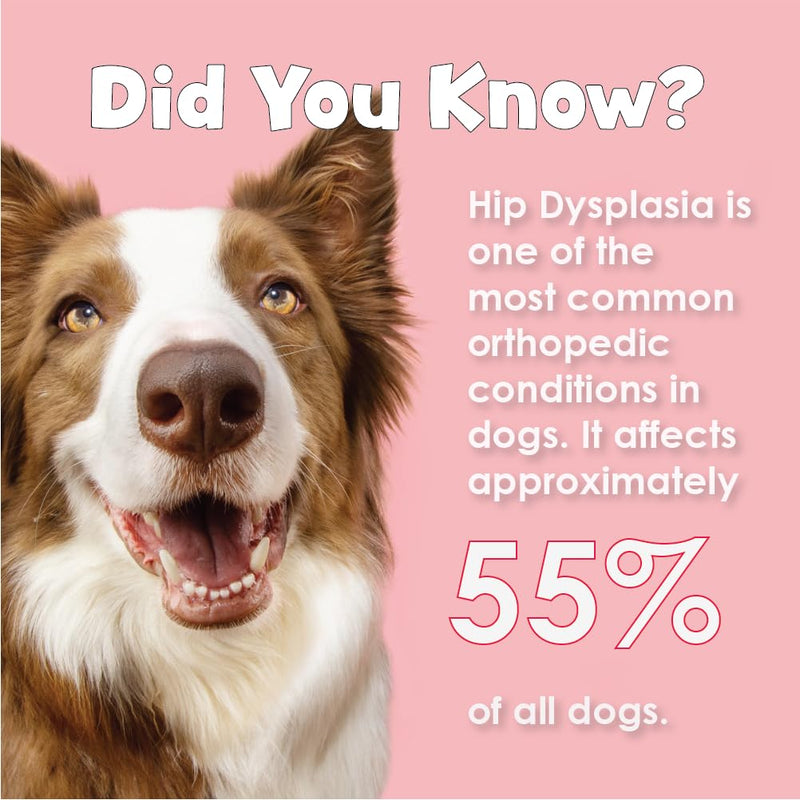 Double Strength Chewable Tablets for Dogs, Glucosamine, Chondroitin, Vitamins & Antioxidants, Hip & Joint Pain Relief & Support Supplement - Veterinarian Formulated, Made in USA, 120 Tablets 120 Count - BeesActive Australia