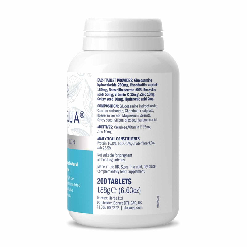 Dorwest Herbs MoveWellia Joint Care Supplement for Dogs and Cats - 200 Tablets - Natural Dog Supplements for Joint Discomfort with Boswellia, Chondroitin, Glucosamine and Celery Seed