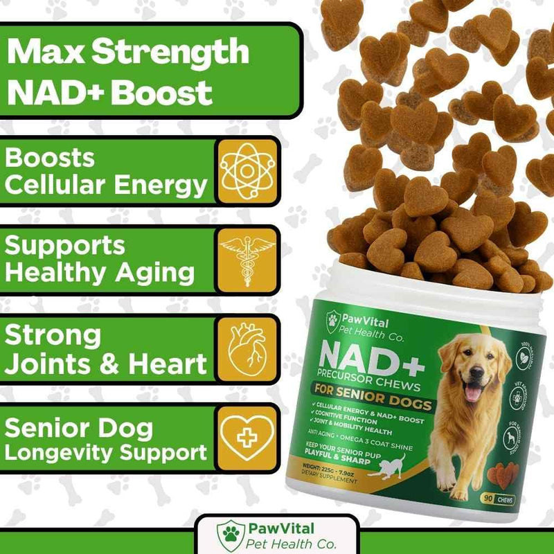 NAD+ Precursor Chews for Senior Dogs – Cellular Energy, Longevity & Cognitive Support – Nicotinamide Riboside, Resveratrol, Quercetin, Glucosamine, Omega-3 – Made with Real Chicken – 90 Count
