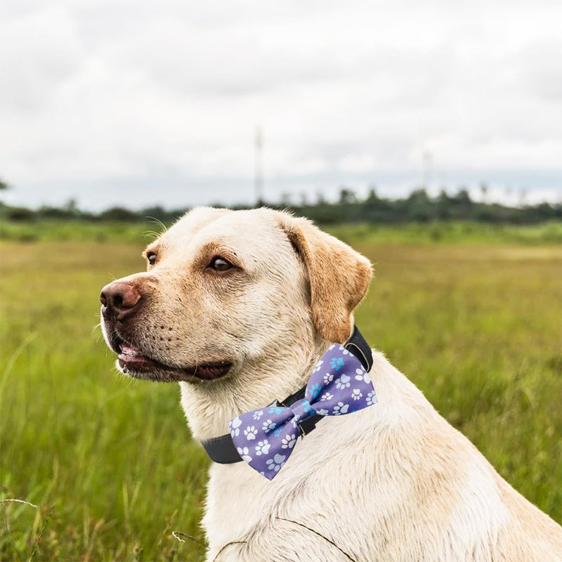 PET SHOW 50pcs Paw Bone Printed Small Dogs Bowties Collar Attachment Bows Embellishment Medium Dog Puppies Cats Collar Charms Accessories Bulk Slides Bow Ties for Birthday Wedding Parties, M/L 50pcs/bowties - BeesActive Australia