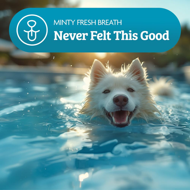 Omni Dog Breath Freshener Supplement - Dragons’ Den Winners, One-a-Day Peppermint Supplements for Dogs, Plaque Remover Dental Care, Fresh Breath for Dogs, 30 Servings, Small 0-15 Kg Small Dog (0-15kg)