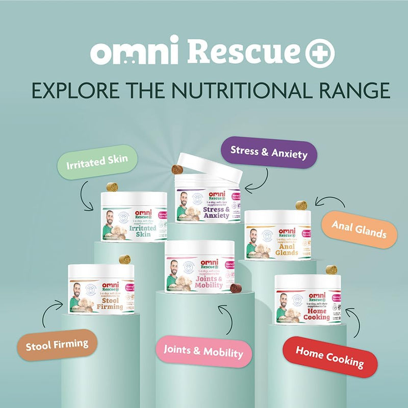 Omni Dog Anxiety Relief Supplement - Dragons’ Den Winners, One-a-Day Supplements for Dogs, Aids Stress and Anxiety with L-Tryptophan L-Theanine for Calming, 30 Servings, Small Dog 0-15Kg Pack of 1 Small Dogs (0-15kg)