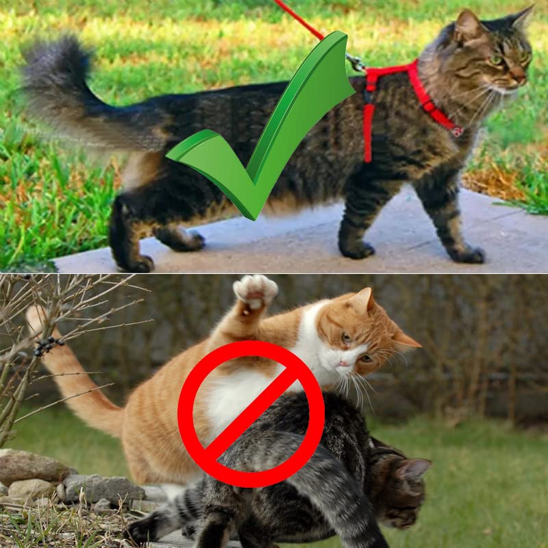 Cat harness with leash escape-proof, cat harness, adjustable cat leash with harness for cats, nylon cat leash, cat harness kitten for small cats and dogs - BeesActive Australia