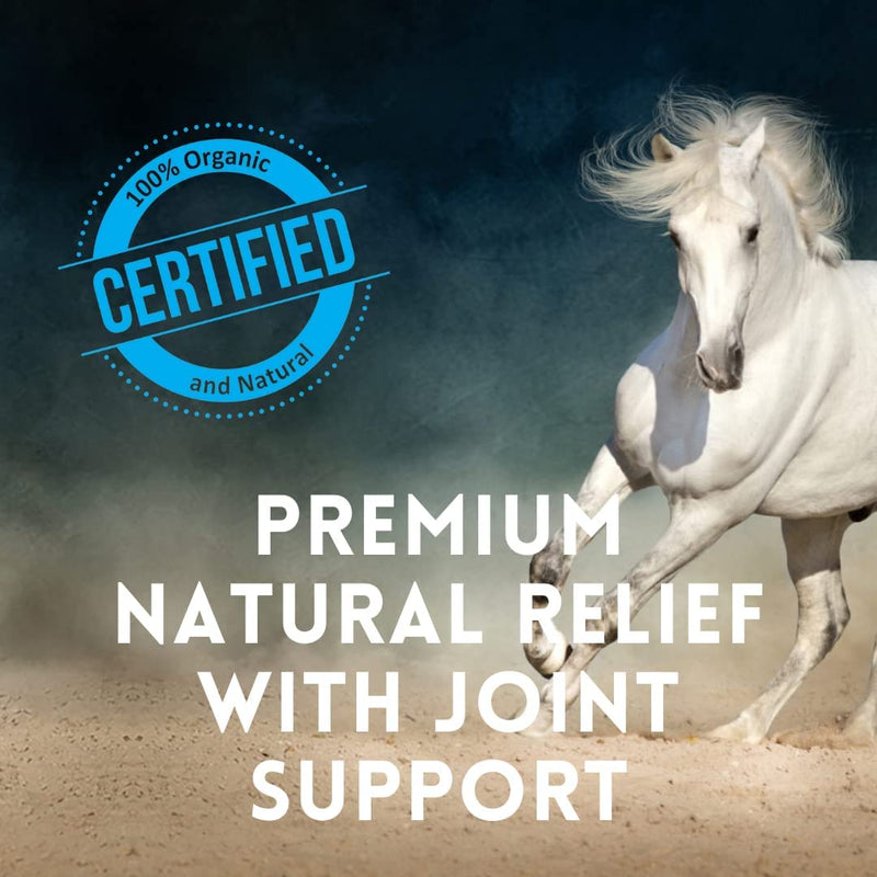 Premium Daily Supplement for Horses | Organic Advanced Bio-Nano Technology to Support Digestive Health | Improves Stamina | Immunity and Joint Support | 30 Day Supply | 5 oz - BeesActive Australia