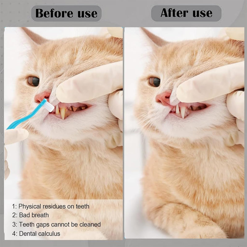 6 Pcs Cat Toothbrush with Micro Head to fit into Cat Mouth, Ultra Soft Bristles Pet Toothbrush Kit, Kitten/Puppy Toothbrushes, Kitty Dental Care Supplies, Avoid Bleeding Gums & Help Gap Cleaning