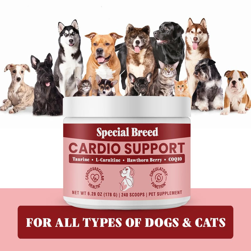 Taurine Supplement for Dogs – Heart Health & Circulation Support – Powder Formula with L-Carnitine, CoQ10 & Organic Hawthorn Berry – 240ct 240 Scoops