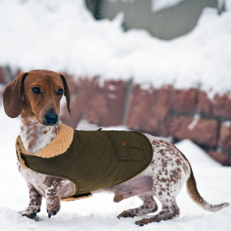 Queenmore Warm Dog Coat, Cold Weather Puffer Dog Coat, Quilting Winter Dog Jacket Ultra Thick Plush Lining with Storage Pockets (Green, Small) Green - BeesActive Australia