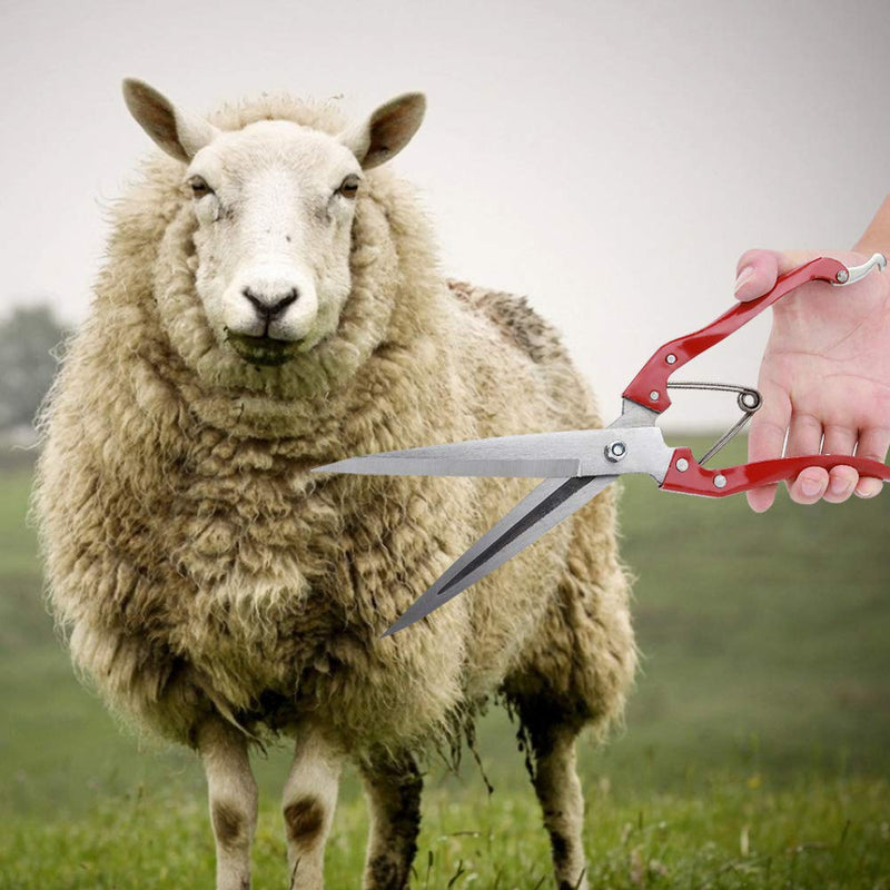 Akozon sheep scissors, manual sheep scissors, sheep scissors, hand sheep wool scissors, stainless steel hand scissors, goats and sheep wool trimmer, sheep scissors, wool scissors with spring - BeesActive Australia