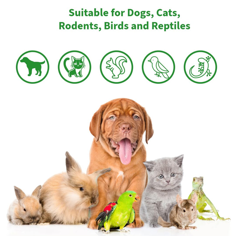 One Step Antiseptic Pet Wound & Skin Care 50ml Spray Bottle, For Dogs Cats Rodents Birds & Reptiles