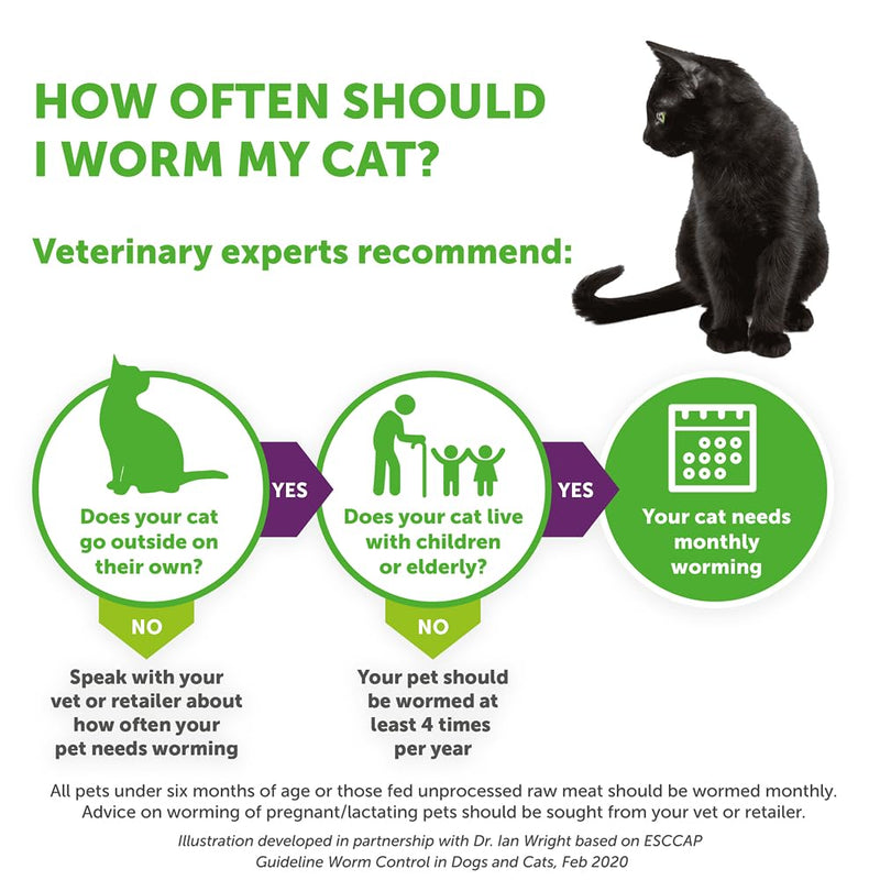 Drontal Wormer tablets for Small and Medium Cats (Under 4kg) x 1 Tablet