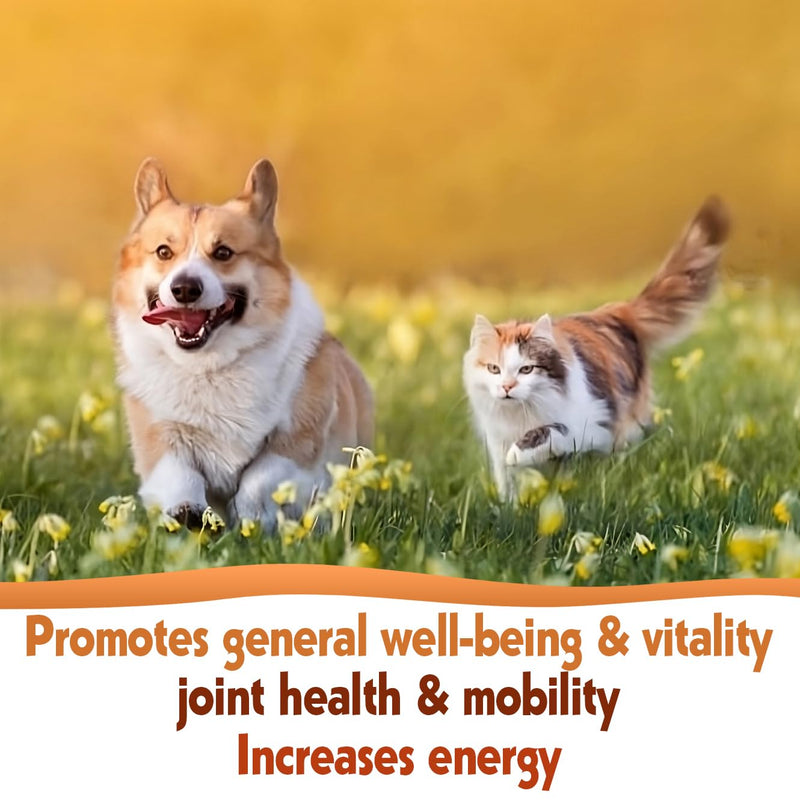 Scottish Salmon Oil for Dogs & Cats 500ml | Natural Omega 3 6 9 Fish Oil Supplement | Grain-Free Skin & Coat Support | Promotes Joint, Heart, Brain & Immune Health | Easy Pump Bottle