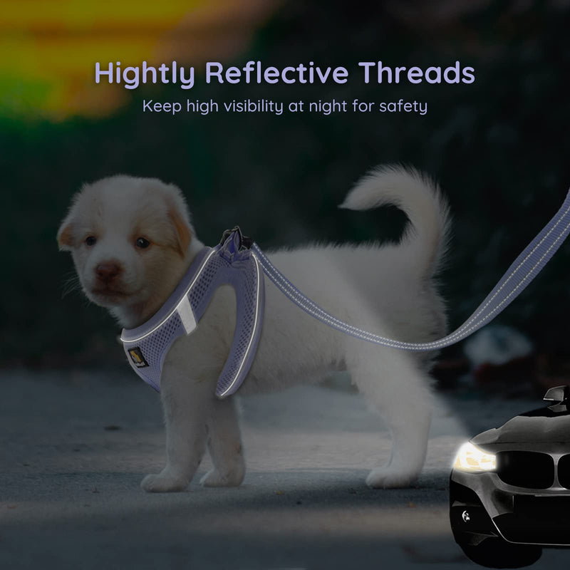 BELLA & PAL Puppy Harness with Leash Set, Dog Harness for Small Dogs No Pull, Dog Leash for Small Dogs, Step in Harness for Extra Small Dogs, Purple Lavender Harness, S - BeesActive Australia