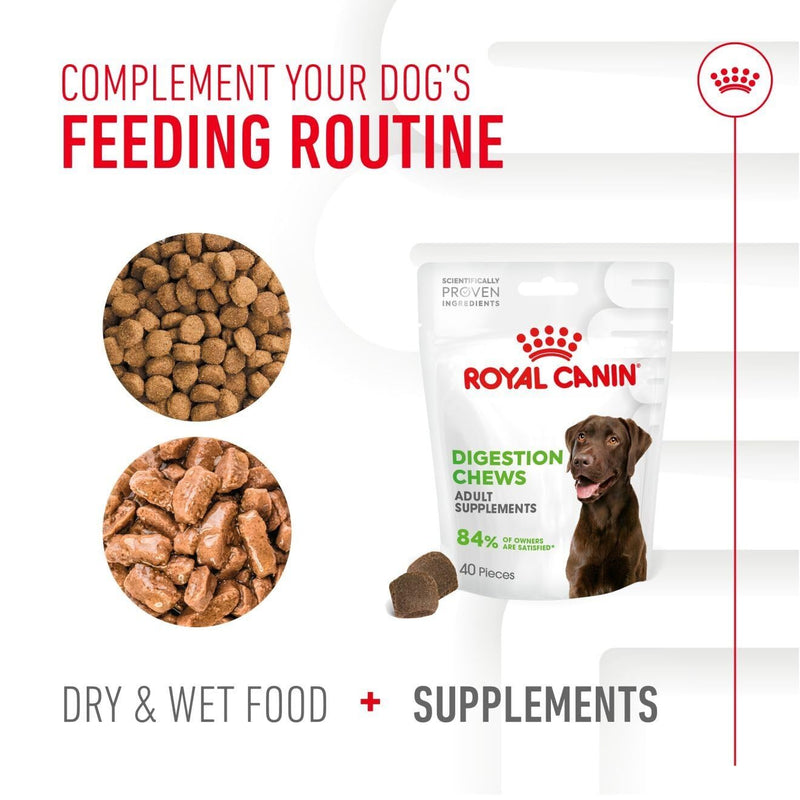 Royal Canin Dog Supplement for Digestion Soft Chews 160g