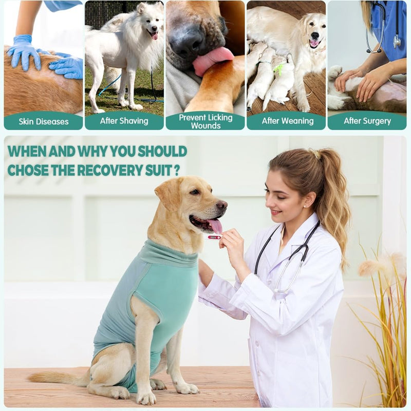 Dotoner dog bodysuit after surgery, castration wound protection suits for dogs, dog bodysuit after castration male dog, breathable bodysuit for dogs after surgery cat bodysuit, leak protection dog, anti-wound licking surgery bodysuit dog XL turquoise - BeesActive Australia