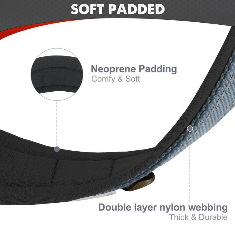 Joytale Dog Collar, Soft Padded Neoprene Collars for Small Dogs, Nylon Reflective Wide Collar Dog, Gray S (Pack of 1) - BeesActive Australia
