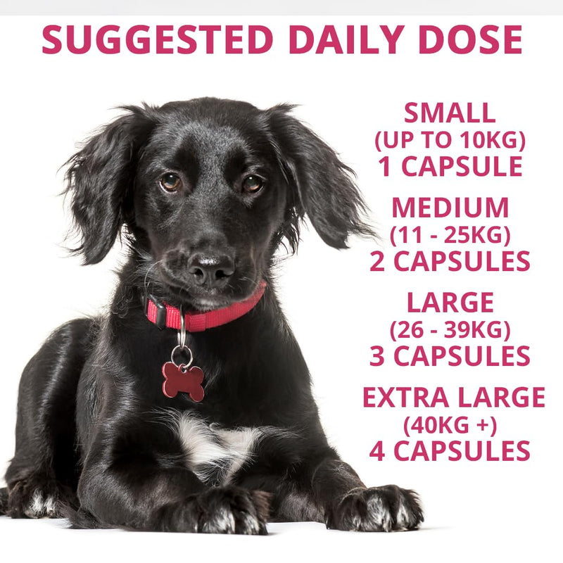 Joint Mover Dog Joint Supplement - Glucosamine and Chondroitin with Calcium - Supports Mobility and Healthy Joints - Plant-Based Capsules
