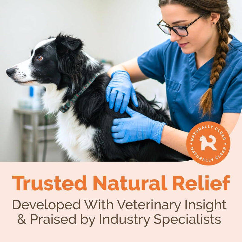 2-Pack Hot Spot & Itch Relief Skin Cream for Dogs & Cats | Fast & Lasting Relief | Treats The Source Natural Ingredients & Colloidal Silver Vet-Recommended Safe & Non-Toxic Made in USA (2oz) Pack of 2