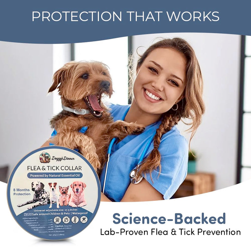 Flea and Tick Collar for Dogs and Cats- Lasts Up to 8-Months Using Natural Plant-Based Oils - Safe for Pets, People and The Environment - 2-Pack Flea Collar for Dogs and Cats - BeesActive Australia