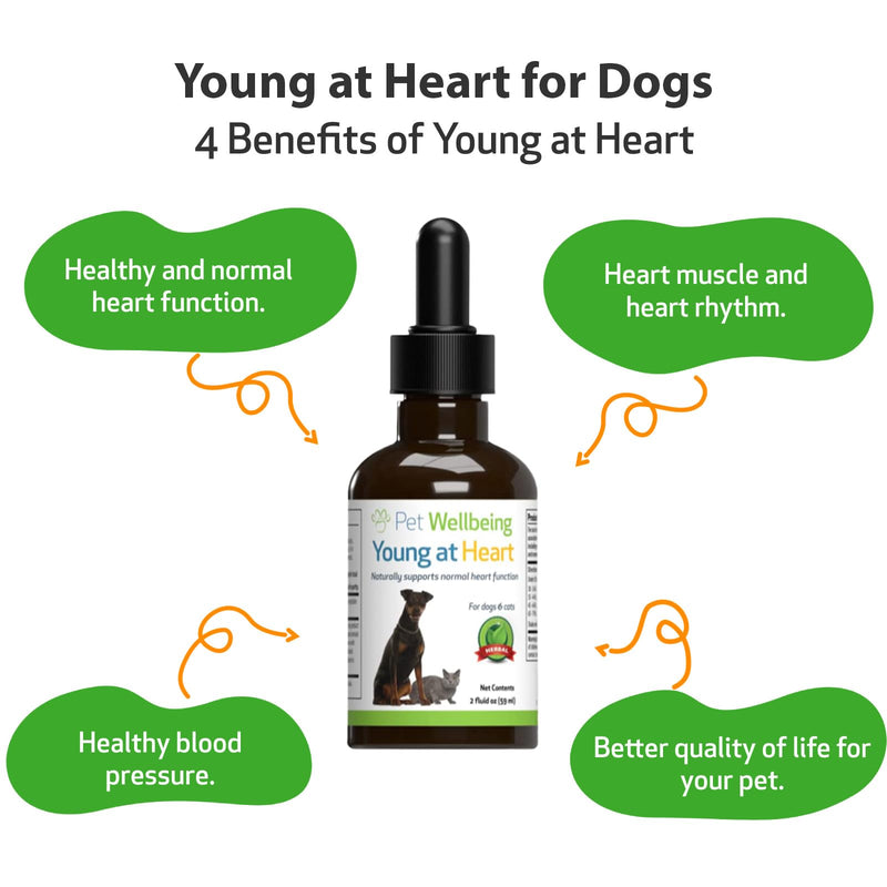 Pet Wellbeing Young at Heart for Dogs - Heart Health, Circulatory & Cardiovascular System, Hawthorn, Motherwort, Schisandra - Veterinarian-Formulated Herbal Supplement 2 fl oz (59 ml) 2 oz. - BeesActive Australia