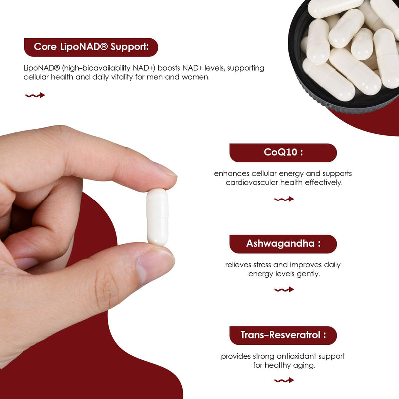 LipoNAD+ 600mg Complex with CoQ10 250mg, Trans Resveratrol 200mg, Ashwagandha 100mg | 4-in-1 Cellular Energy Antioxidant Support | High Absorption | Vegan Non-GMO Gluten Free | 120 Capsules White
