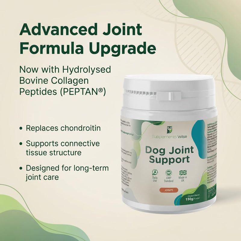 Joint Powder for Dogs - Includes Green Lipped Mussel for Dogs & Glucosamine - Joint Supplements for Your Young or Senior Dog - Mobility Support -150g Chicken Flavour