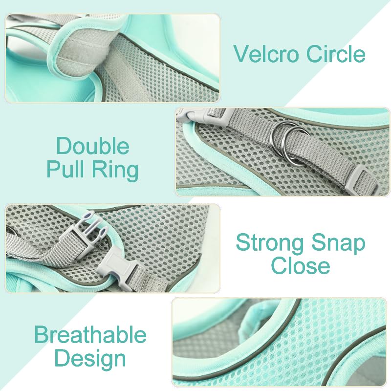 Cat Harness and Leash Set Soft Adjustable Escape Proof Cat Leash Breathable Comfortable Vest Easy to Wear Kitten/Small Dogs Harness for Outdoor Walking Green M Aqua Medium - BeesActive Australia