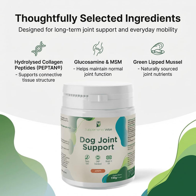 Joint Powder for Dogs - Includes Green Lipped Mussel for Dogs & Glucosamine - Joint Supplements for Your Young or Senior Dog - Mobility Support -150g Chicken Flavour