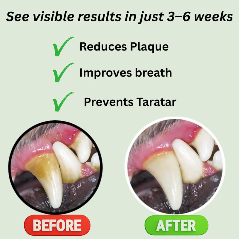 Probiotic Dog Dental Powder (180g) - Advanced Plaque & Tartar Remover for Dogs and Cats - Fresh Breath Oral Care Supplement - Professional Grade Teeth Cleaning - No Brush Formula
