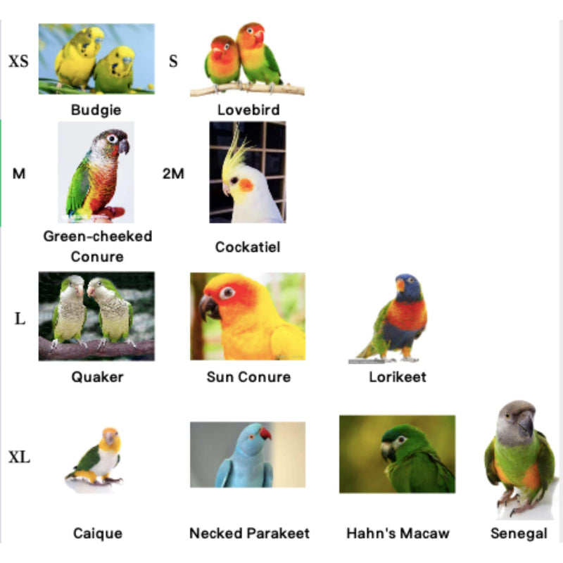Bird Flight Harness Vest, Parrot Flight Suit with Leash for Parakeets Cockatiels Conures Budgies, Bird Flying Clothes with Rope and Handle for Outdoor Activities Training, Anti Bite (Medium) Medium - BeesActive Australia