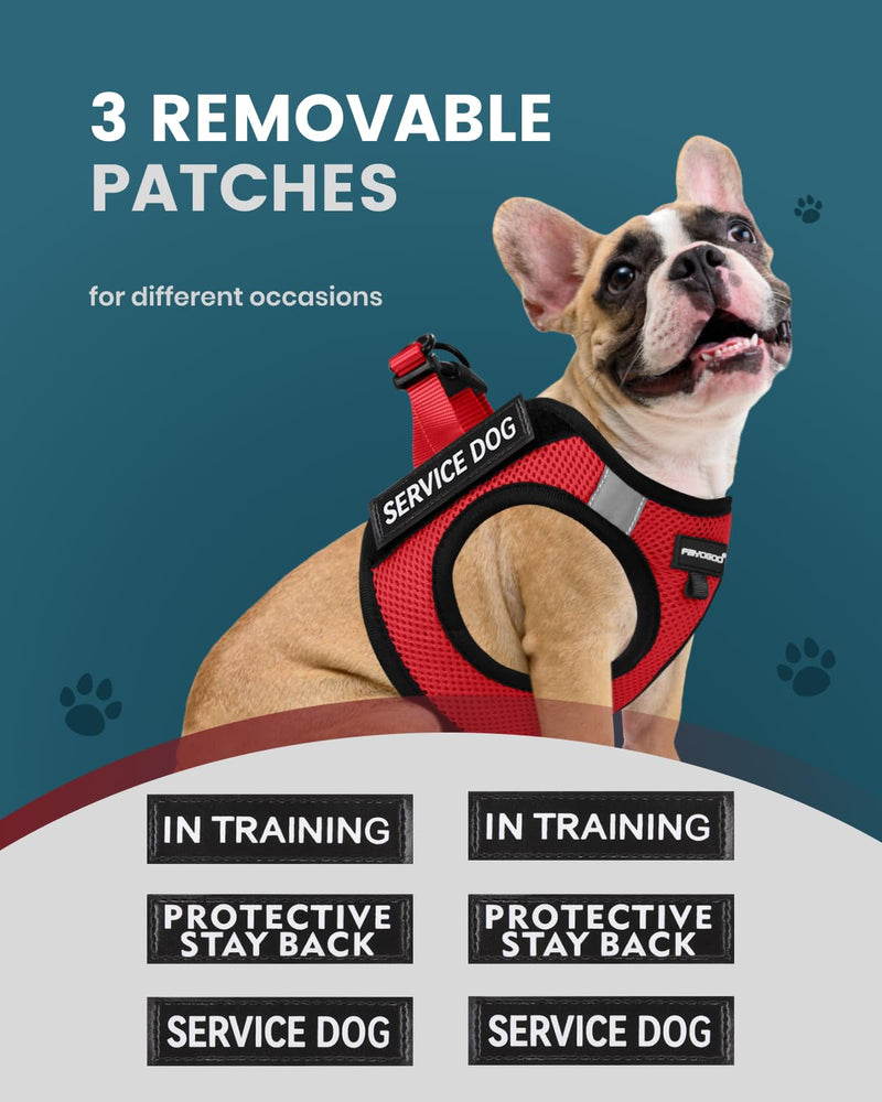 FAYOGOO Service Dog Vest for Small Breed - Lightweight Dog Harness with 6PCS Removable Patches - Puppy Harness and Leash Set for Walking,Training Red S(Chest 12''-14'') - BeesActive Australia