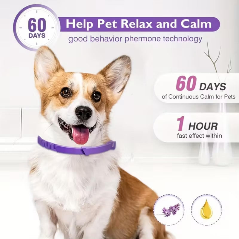2PCS Adjustable Calming Co/llar for Dogs,Waterproof Dog Co/llar with fl/ea & ti/ck Treatment,Anti Bark Co/llar with Lavender,Long-Lasting Soothing & Anxiety Relief,Puppy Safe,Dog Calming Co/llar